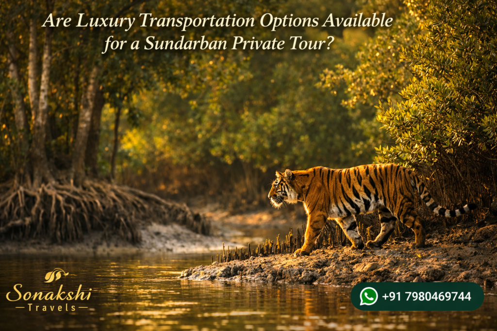 Are Luxury Transportation Options Available for a Sundarban Private Tour?
