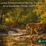Are Luxury Transportation Options Available for a Sundarban Private Tour?