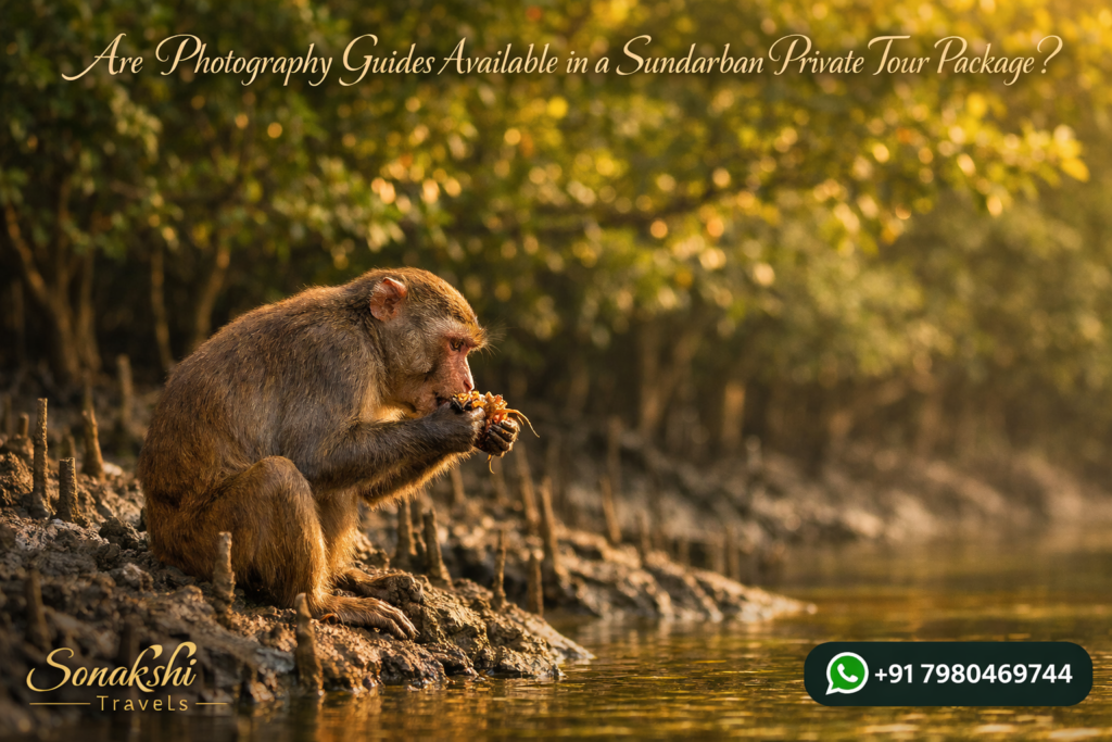 Are Photography Guides Available in a Sundarban Private Tour Package?