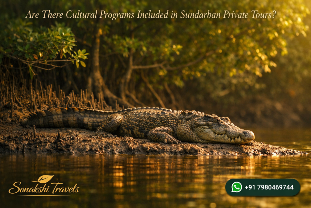 Are There Cultural Programs Included in Sundarban Private Tours?