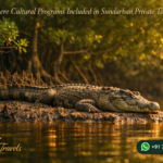 Are There Cultural Programs Included in Sundarban Private Tours?