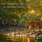 Are There Sundarban Tours Designed for Adventure Seekers?