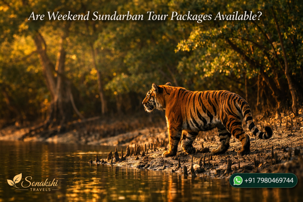 Are Weekend Sundarban Tour Packages Available?