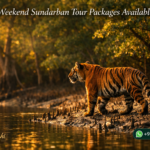 Are Weekend Sundarban Tour Packages Available?