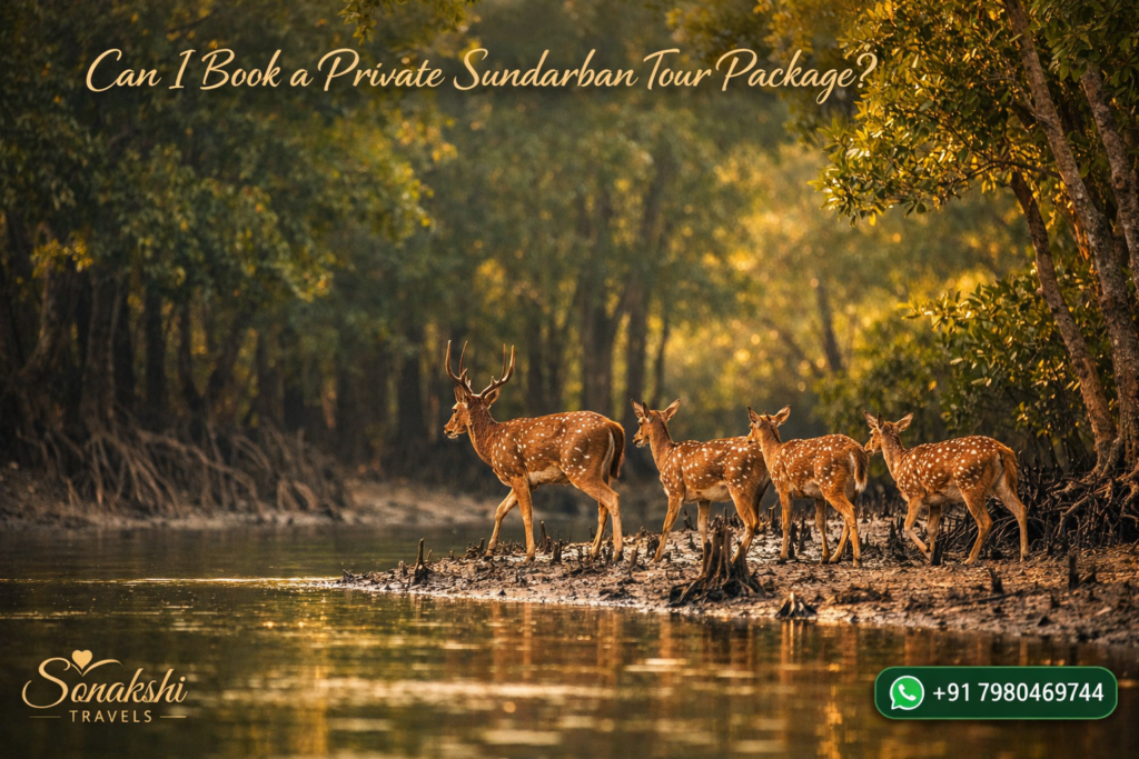 Can I Book a Private Sundarban Tour Package?