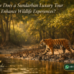 How Does a Sundarban Luxury Tour Enhance Wildlife Experiences?