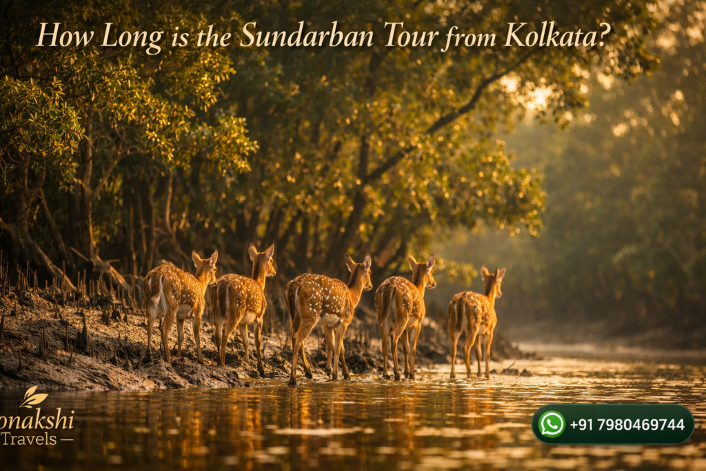 How Long is the Sundarban Tour from Kolkata?