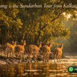 How Long is the Sundarban Tour from Kolkata?