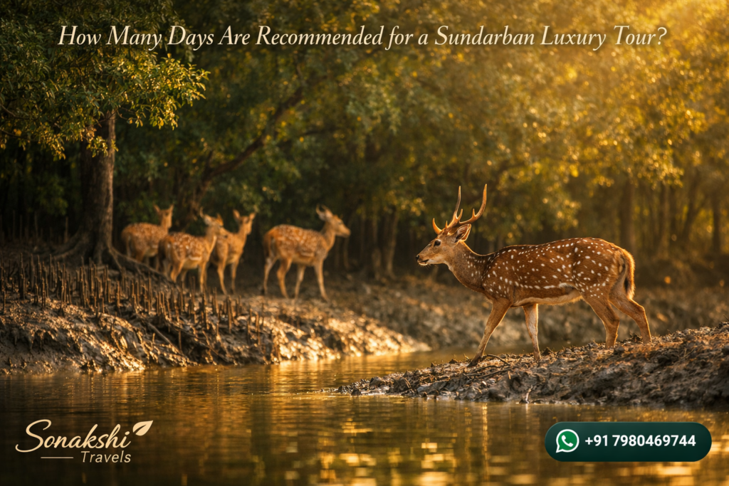 How Many Days Are Recommended for a Sundarban Luxury Tour