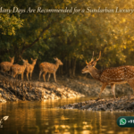 How Many Days Are Recommended for a Sundarban Luxury Tour