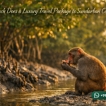 How Much Does a Luxury Travel Package to Sundarban Cost?