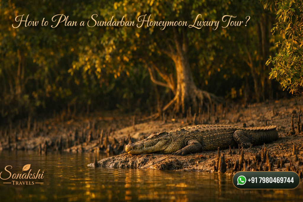 How to Plan a Sundarban Honeymoon Luxury Tour?