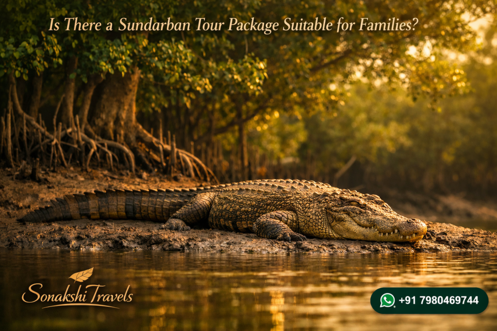 Is There a Sundarban Tour Package Suitable for Families