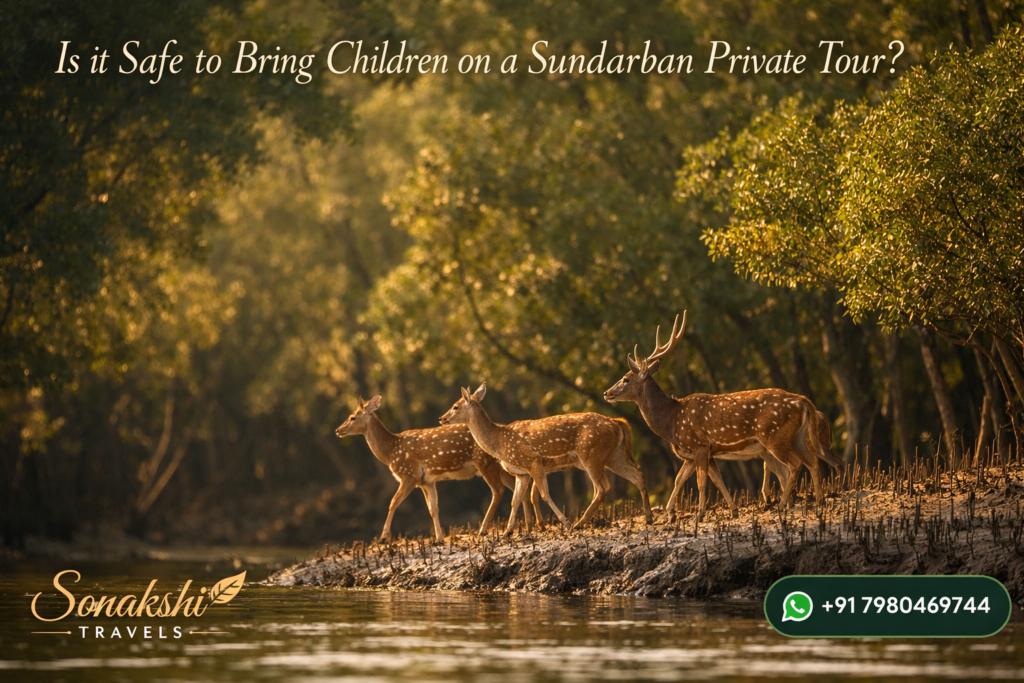 Is it Safe to Bring Children on a Sundarban Private Tour?