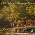 Is it Safe to Bring Children on a Sundarban Private Tour?