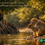 What are the Main Differences Between a Sundarban Private Tour and a Group Tour