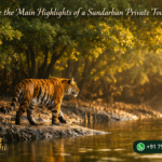 What are the Main Highlights of a Sundarban Private Tour?
