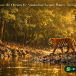 What are the Options for Sundarban Luxury Retreat Packages?