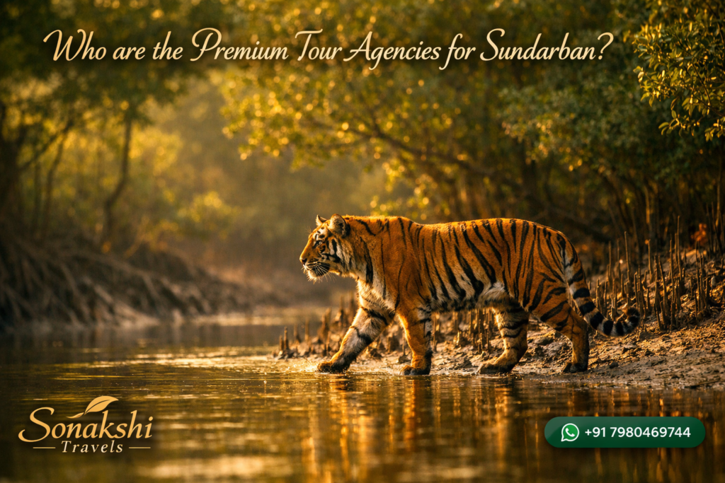 Who are the Premium Tour Agencies for Sundarban?