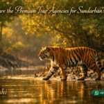 Who are the Premium Tour Agencies for Sundarban?