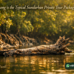 How Long is the Typical Sundarban Private Tour Package?