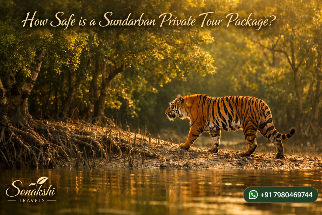 How Safe is a Sundarban Private Tour Package?