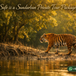 How Safe is a Sundarban Private Tour Package?