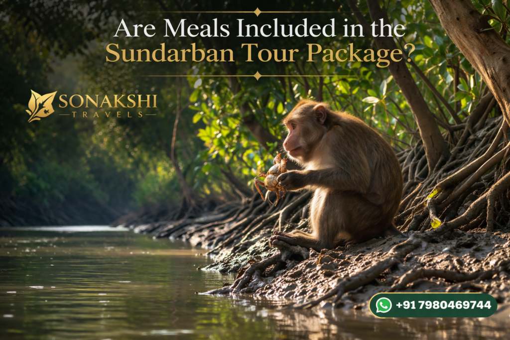 Are Meals Included in the Sundarban Tour Package