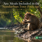 Are Meals Included in the Sundarban Tour Package