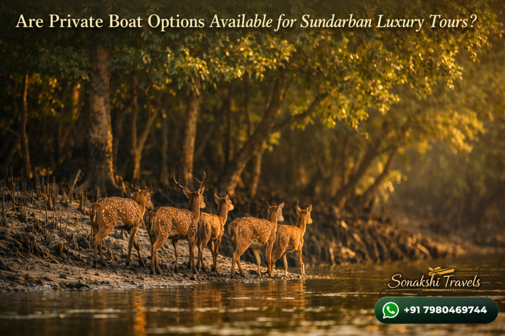 Are Private Boat Options Available for Sundarban Luxury Tours