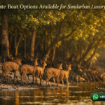 Are Private Boat Options Available for Sundarban Luxury Tours