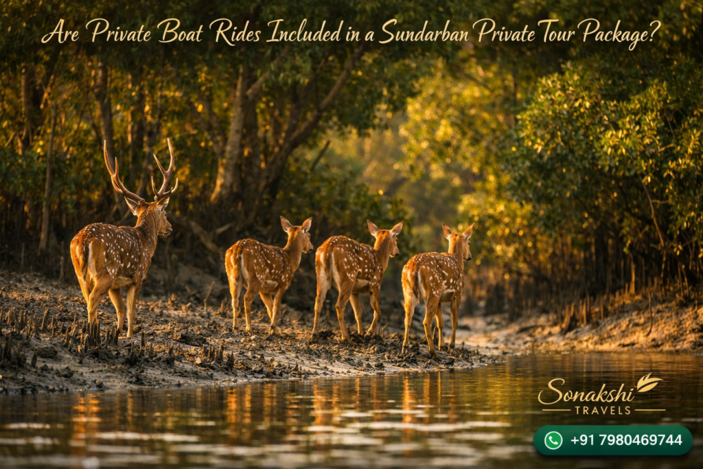 Are Private Boat Rides Included in a Sundarban Private Tour Package