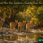 Are Private Boat Rides Included in a Sundarban Private Tour Package
