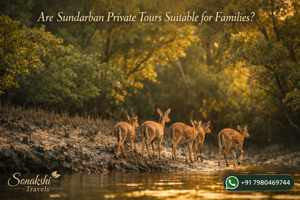 Are Sundarban Private Tours Suitable for Families?