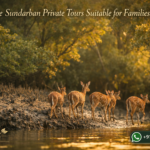 Are Sundarban Private Tours Suitable for Families?