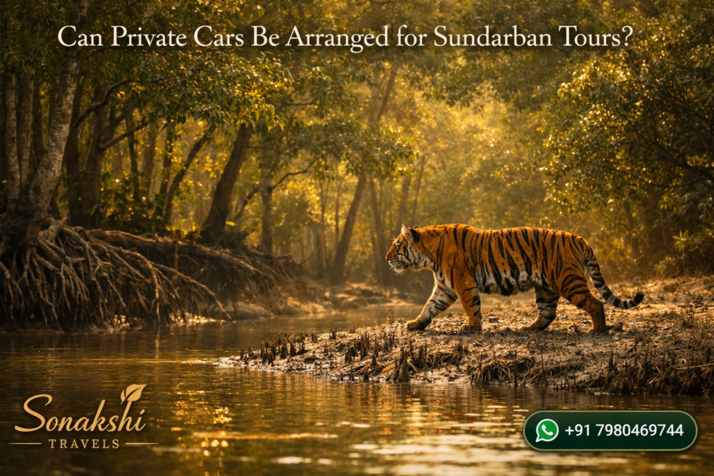 Can Private Cars Be Arranged for Sundarban Tours?