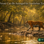 Can Private Cars Be Arranged for Sundarban Tours?