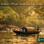 How to Book a Private Sundarban Tour Online