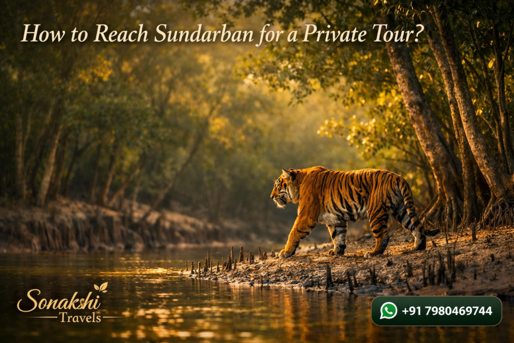How to Reach Sundarban for a Private Tour