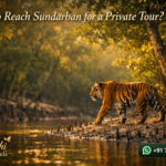 How to Reach Sundarban for a Private Tour