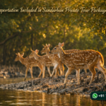 Is Transportation Included in Sundarban Private Tour Packages?