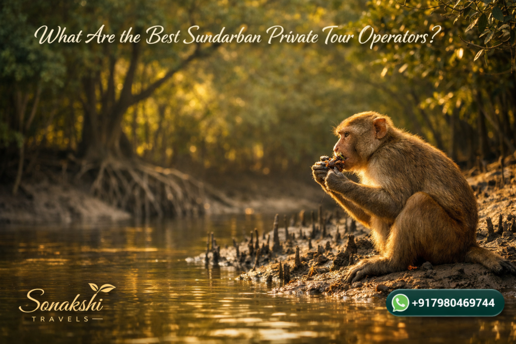 What Are the Best Sundarban Private Tour Operators