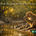 What Are the Best Sundarban Private Tour Operators