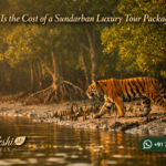 What Is the Cost of a Sundarban Luxury Tour Package