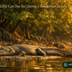 What Wildlife Can You See During a Sundarban Luxury Tour