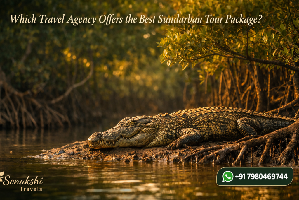 Which Travel Agency Offers the Best Sundarban Tour Package?