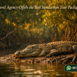 Which Travel Agency Offers the Best Sundarban Tour Package?
