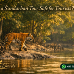 Is a Sundarban Tour Safe for Tourists?