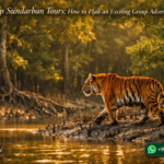 Group Sundarban Tours: How to Plan an Exciting Group Adventure