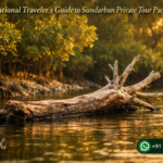 International Traveler’s Guide to Sundarban Private Tour Packages
